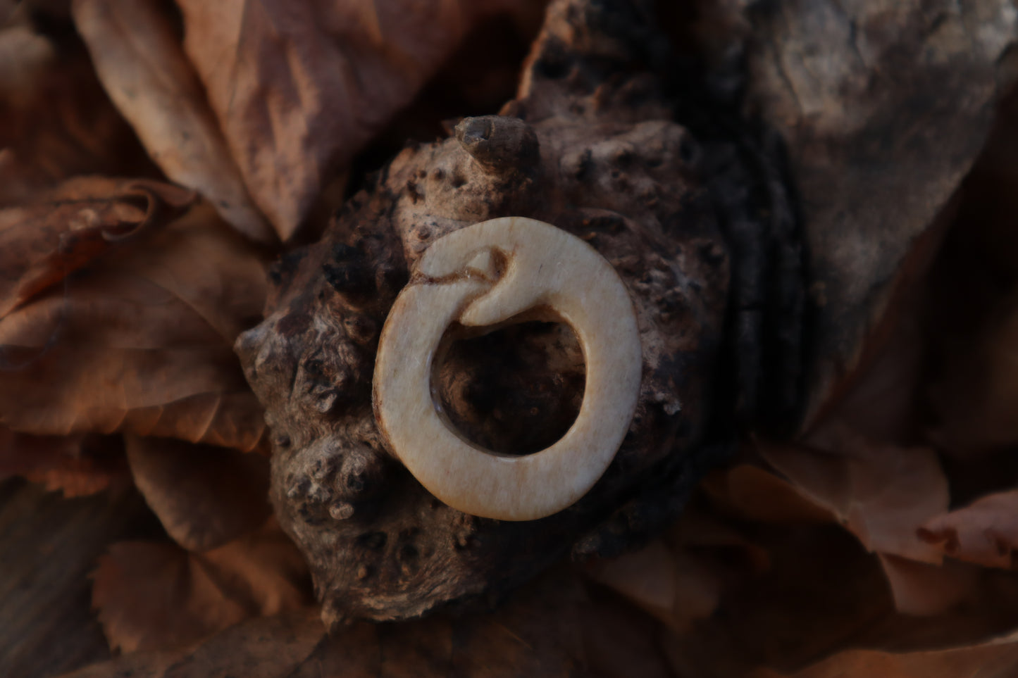 Ouroboros Horse Bone Trinket