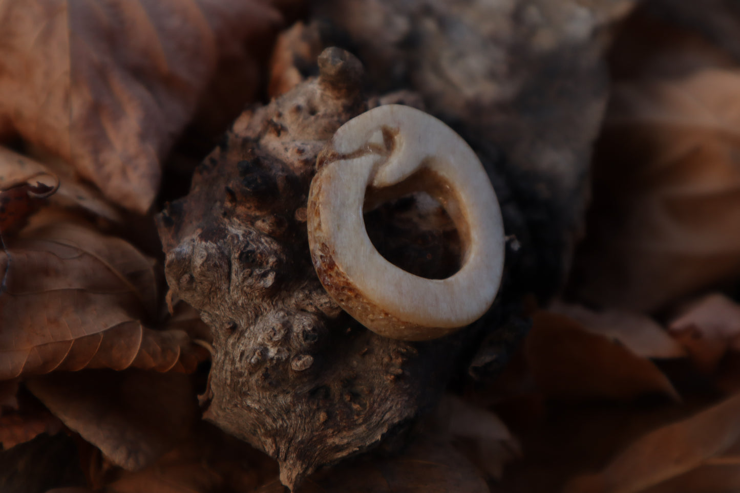 Ouroboros Horse Bone Trinket
