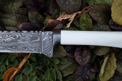 Damascus Whitetail Fawn Tibia Knife