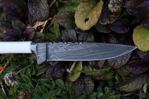 Damascus Whitetail Fawn Tibia Knife