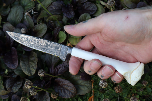 Damascus Whitetail Fawn Tibia Knife