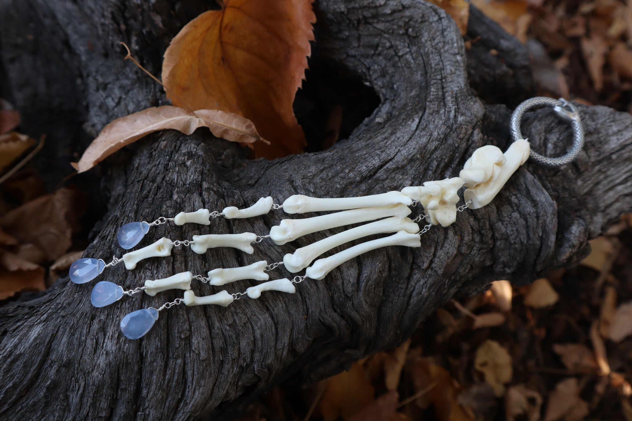 Fluid Bobcat Paw Articulation with Chalcedony “Claws”