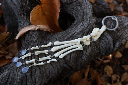 Fluid Bobcat Paw Articulation with Chalcedony “Claws”