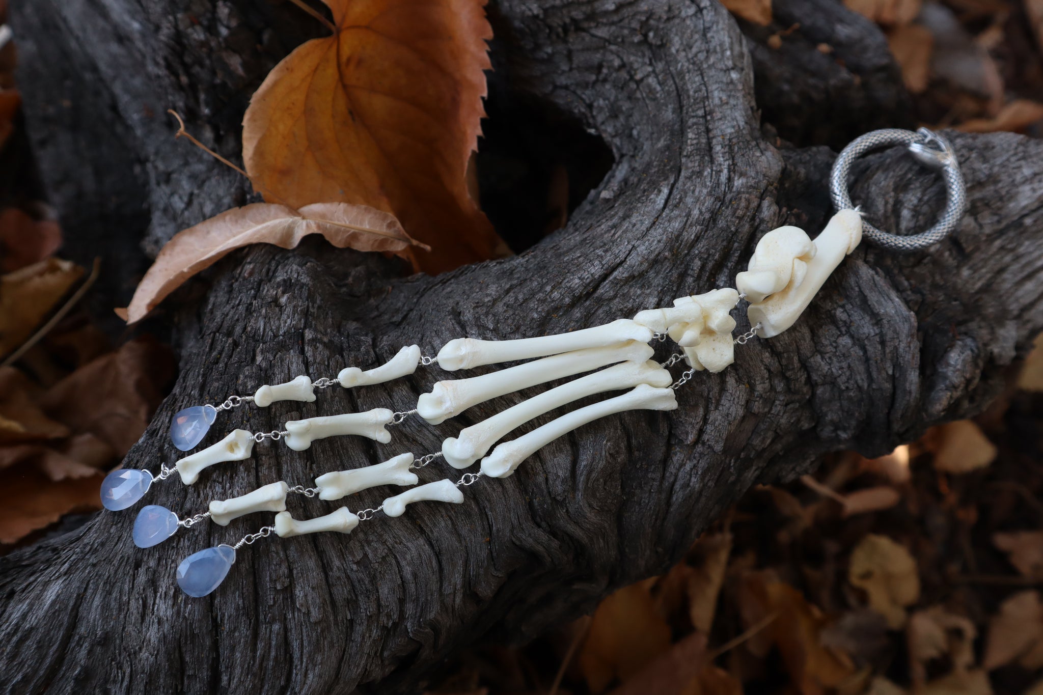 Fluid Bobcat Paw Articulation with Chalcedony “Claws”