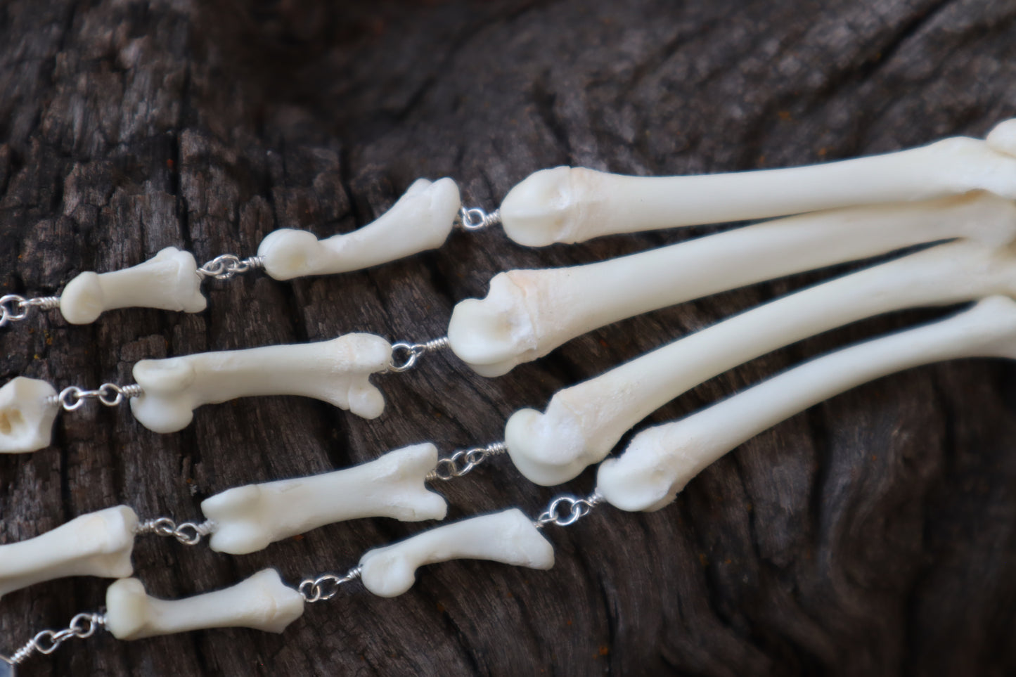 Fluid Bobcat Paw Articulation with Chalcedony “Claws”