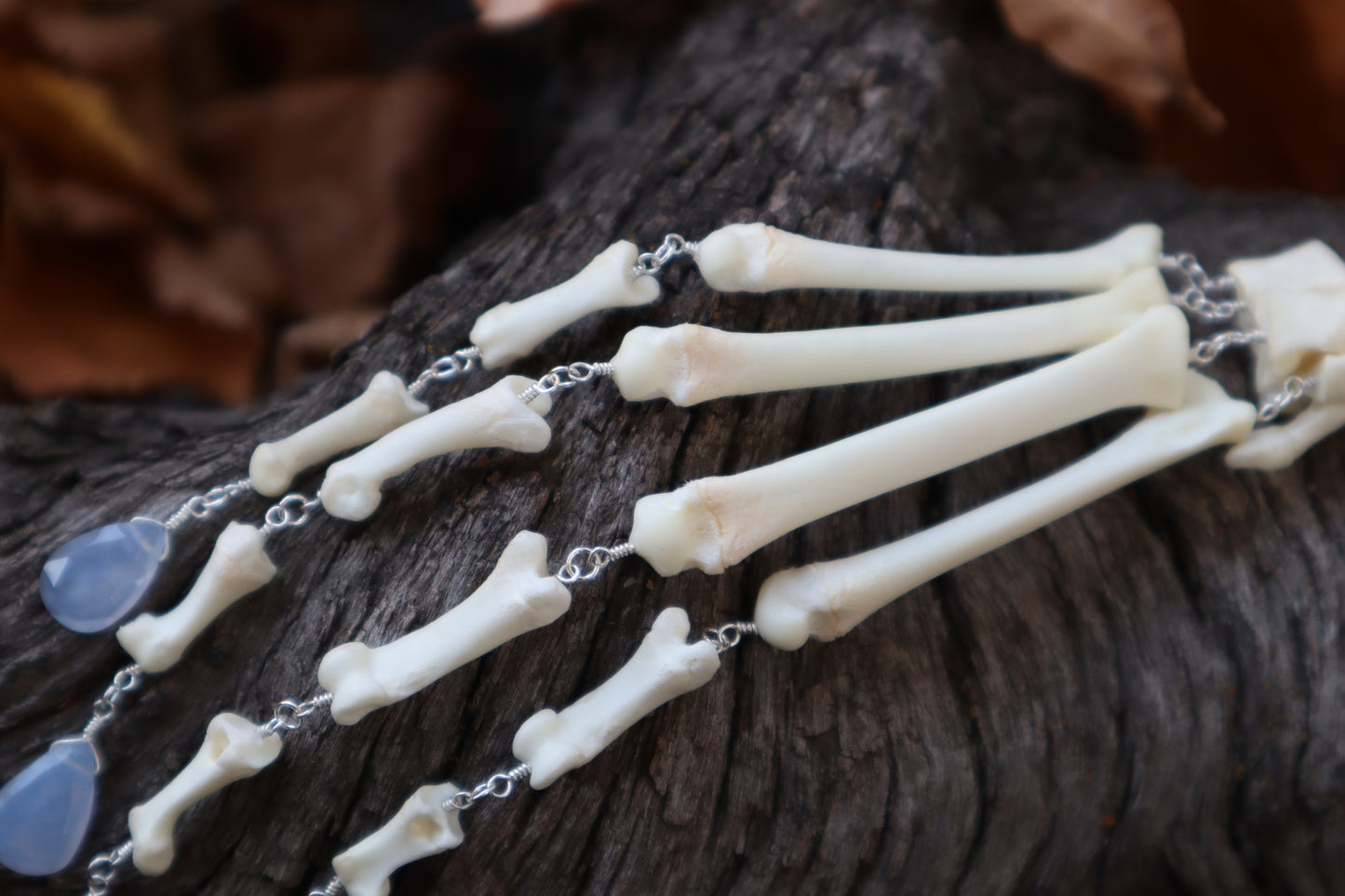 Fluid Bobcat Paw Articulation with Chalcedony “Claws”