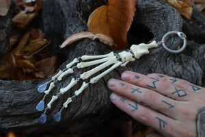 Fluid Bobcat Paw Articulation with Chalcedony “Claws”