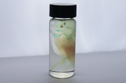 Diaphonized Fetal Beaver