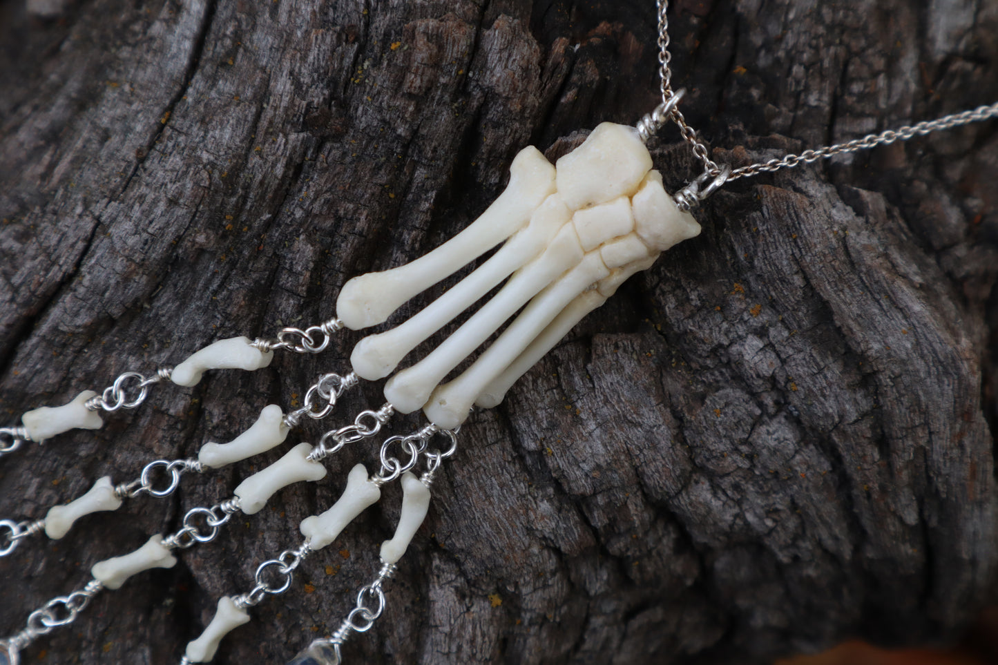 Fluid Striped Skunk Paw Articulation Necklace with Opal “Claws”