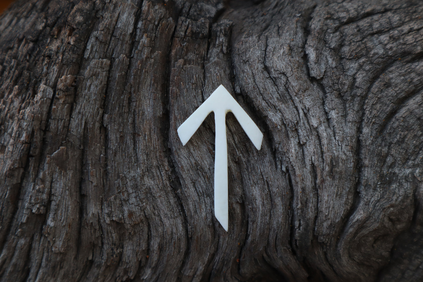 Tiwaz Wolf Bone Talisman