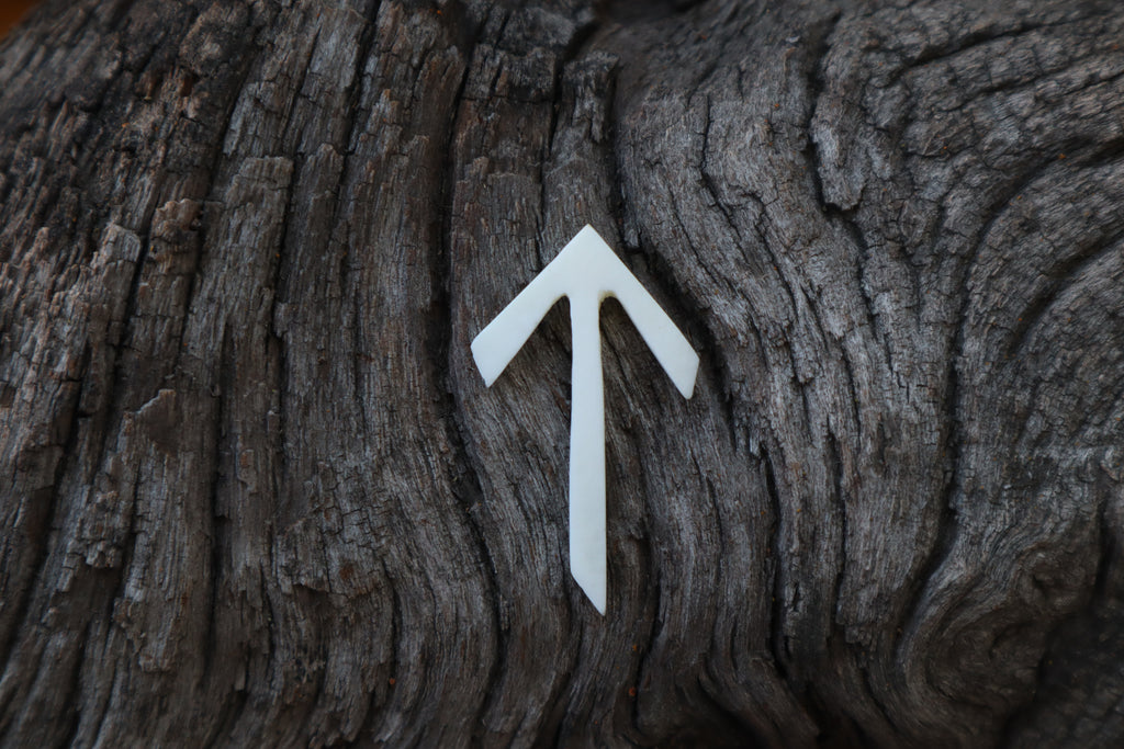 Tiwaz Wolf Bone Talisman