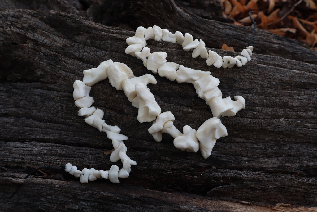 Mountain Lion Bone Beads