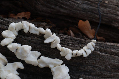 Mountain Lion Bone Beads