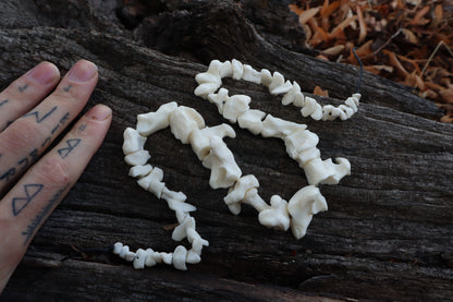 Mountain Lion Bone Beads