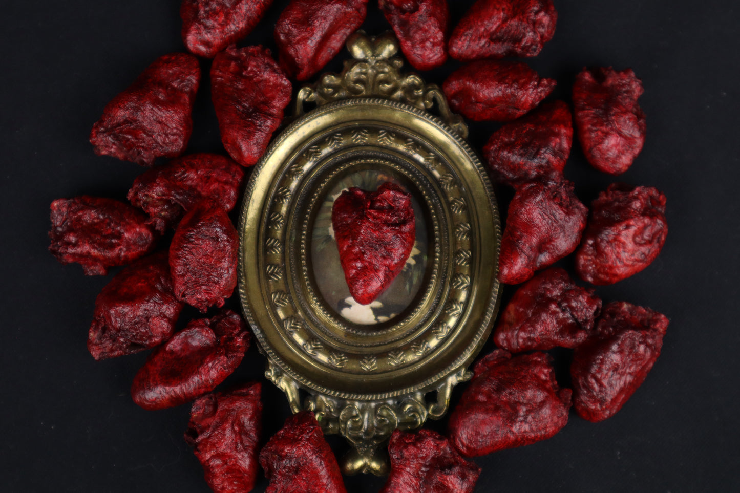 Dry Preserved Chicken Heart