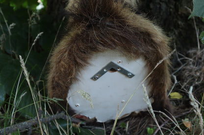 Taxidermy Feral Hawaiian Goat