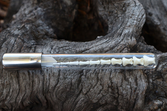 Whitetail Fawn Tail Articulation in Vintage Glass Test Tube