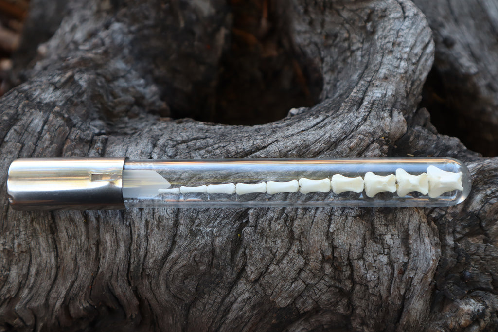 Whitetail Fawn Tail Articulation in Vintage Glass Test Tube