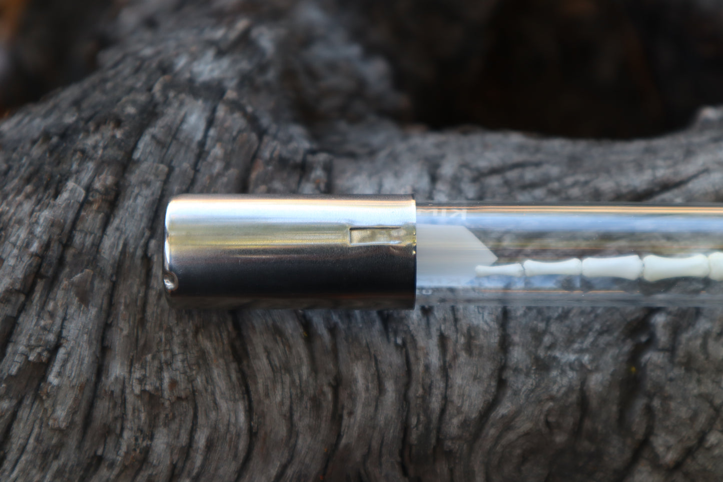 Whitetail Fawn Tail Articulation in Vintage Glass Test Tube