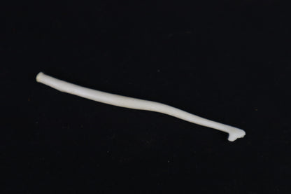 Wolverine Baculum