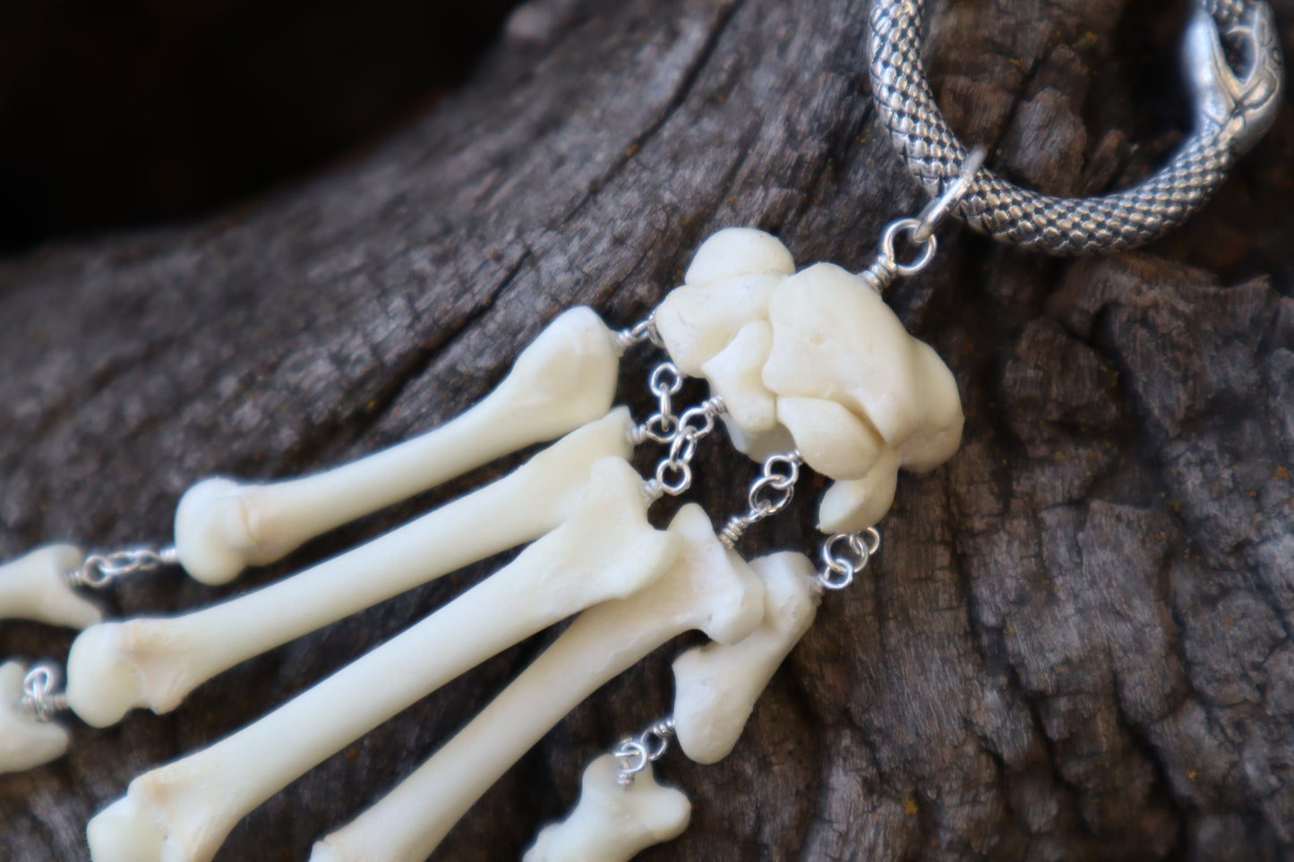 Fluid Bobcat Paw Articulation with Amethyst “Claws”