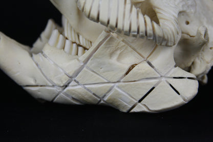 Carved Beaver Skull