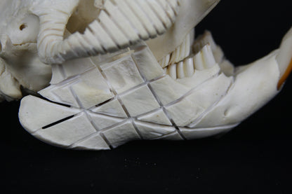 Carved Beaver Skull