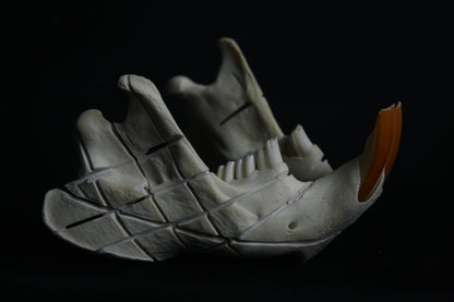 Carved Beaver Skull