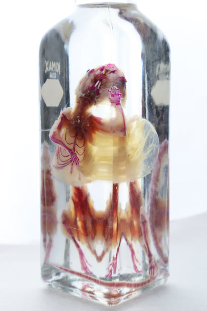 Pathological Diaphonized African Soft Fur Rat