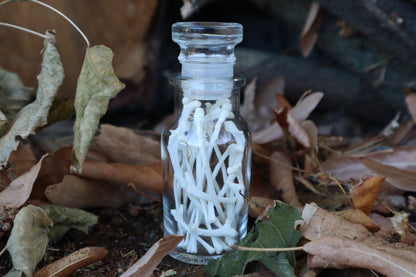 Cat Ribs in Glass Jar