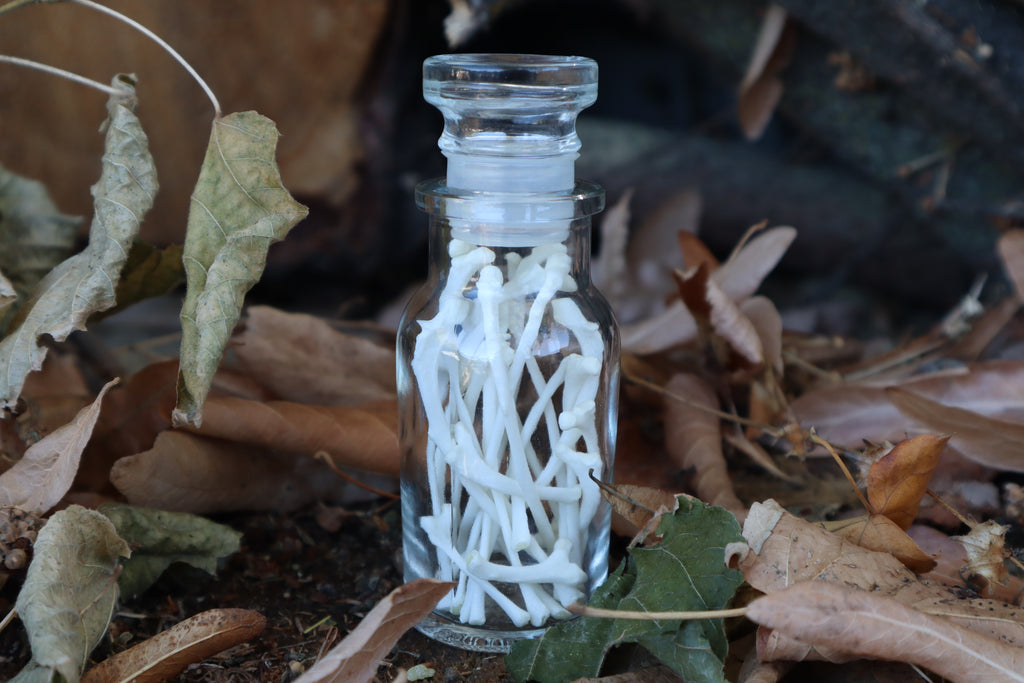 Cat Ribs in Glass Jar