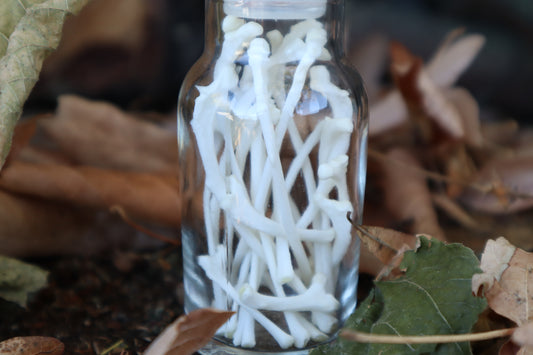 Cat Ribs in Glass Jar