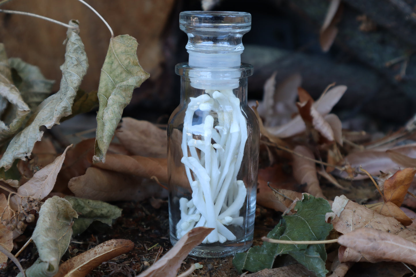 Cat Ribs in Glass Jar