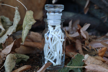 Cat Ribs in Glass Jar