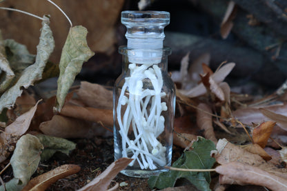 Cat Ribs in Glass Jar