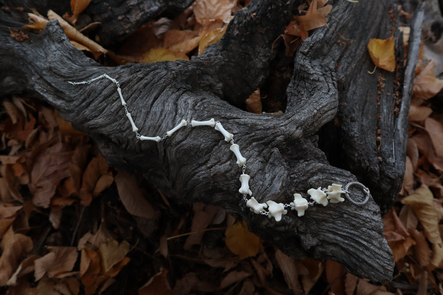 Fluid Raccoon Tail Articulation with Ouroboros Ring