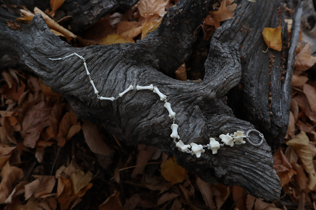Fluid Raccoon Tail Articulation with Ouroboros Ring