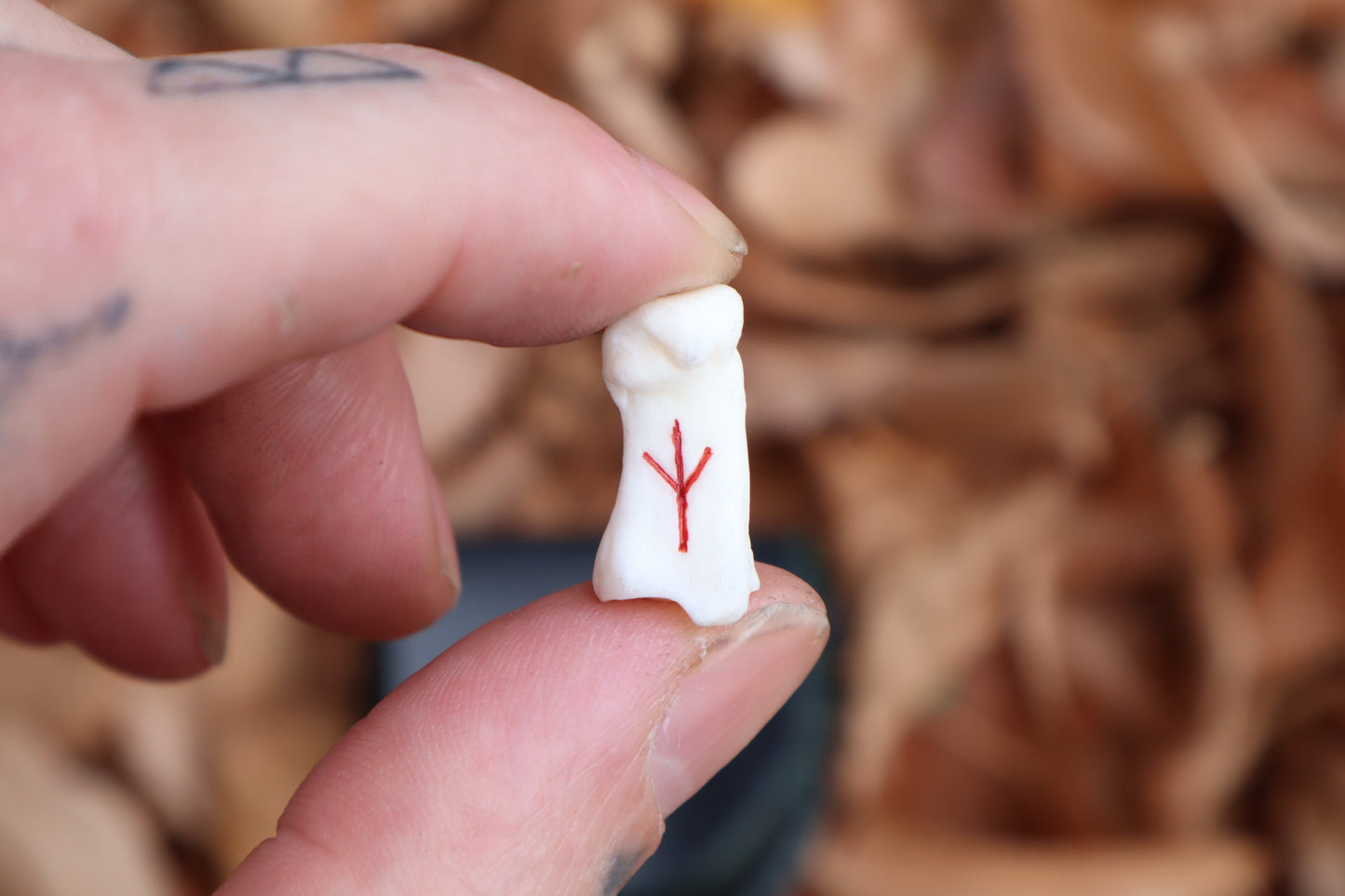 Mountain Lion Bone Divination Set - Jet Black and Forest Green