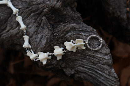 Fluid Raccoon Tail Articulation with Ouroboros Ring