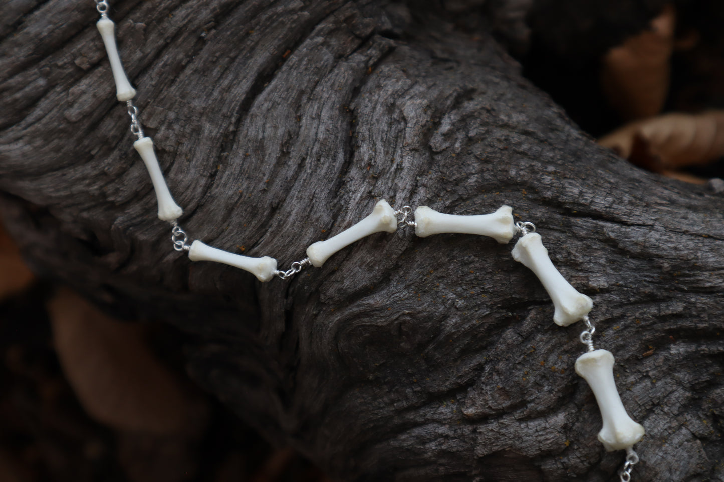 Fluid Raccoon Tail Articulation with Ouroboros Ring