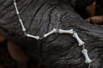 Fluid Raccoon Tail Articulation with Ouroboros Ring