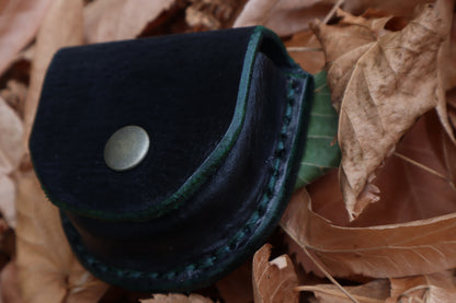 Mountain Lion Bone Divination Set - Jet Black and Forest Green