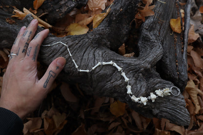 Fluid Raccoon Tail Articulation with Ouroboros Ring