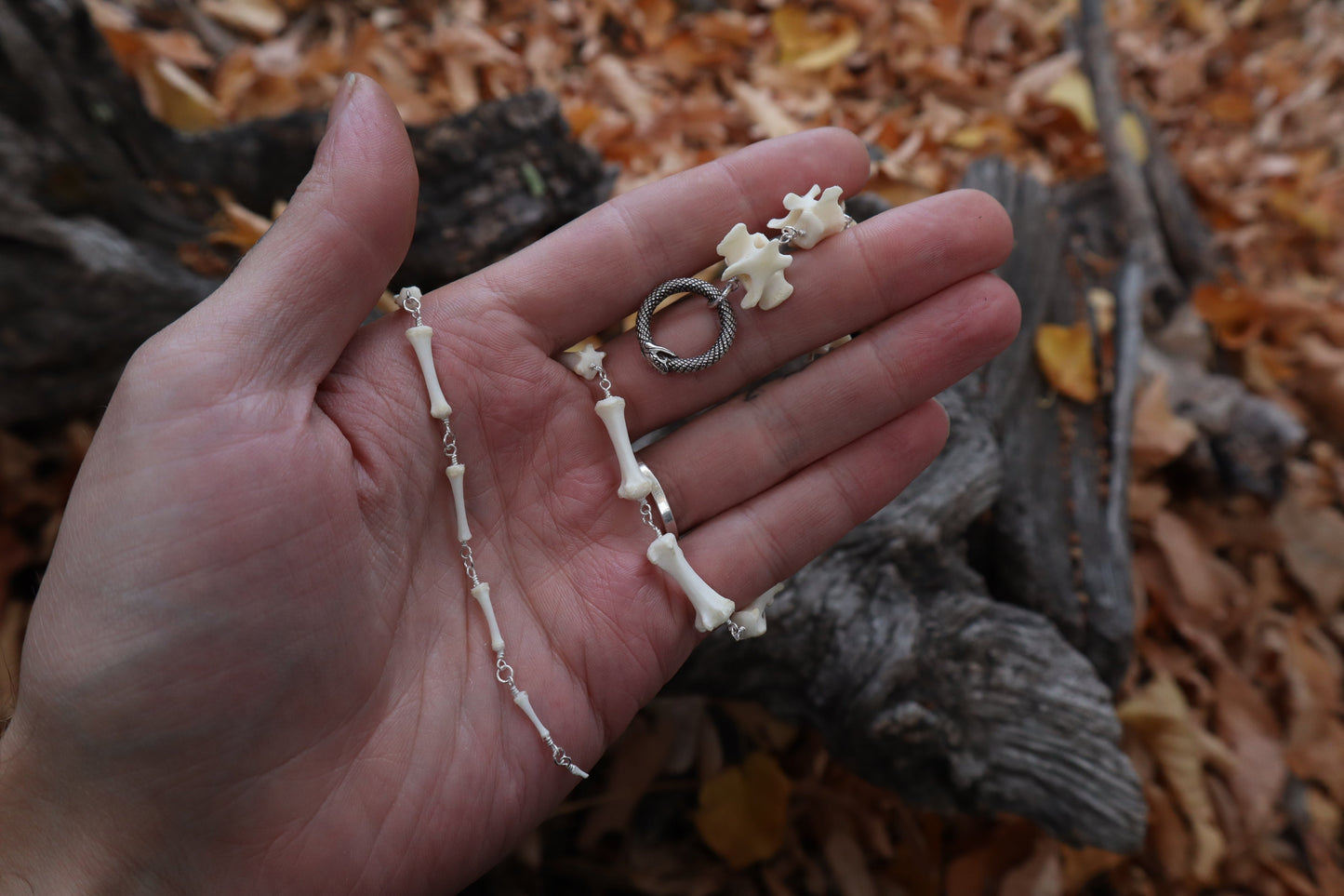Fluid Raccoon Tail Articulation with Ouroboros Ring