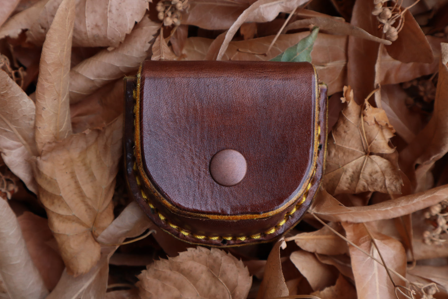 Mountain Lion Bone Divination Set - Bison Brown and Sunshine Yellow