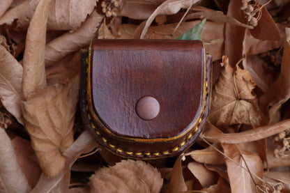 Mountain Lion Bone Divination Set - Bison Brown and Sunshine Yellow