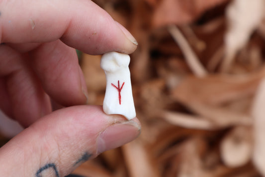 Mountain Lion Bone Divination Set - Bison Brown and Sunshine Yellow