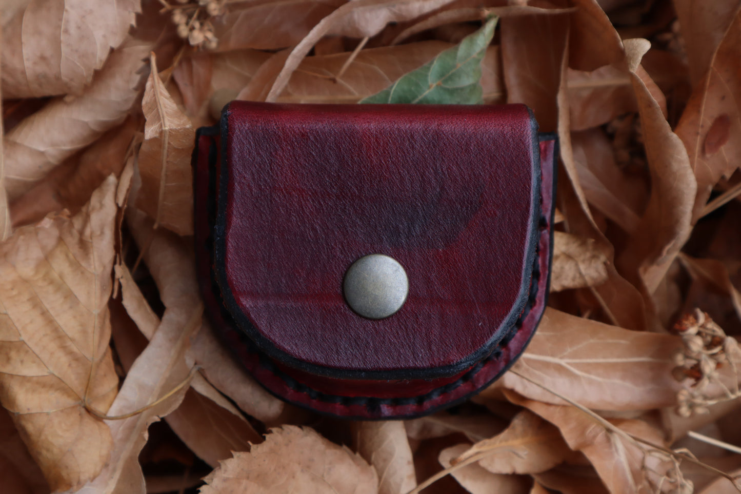 Mountain Lion Bone Divination Set - Burgundy and Jet Black