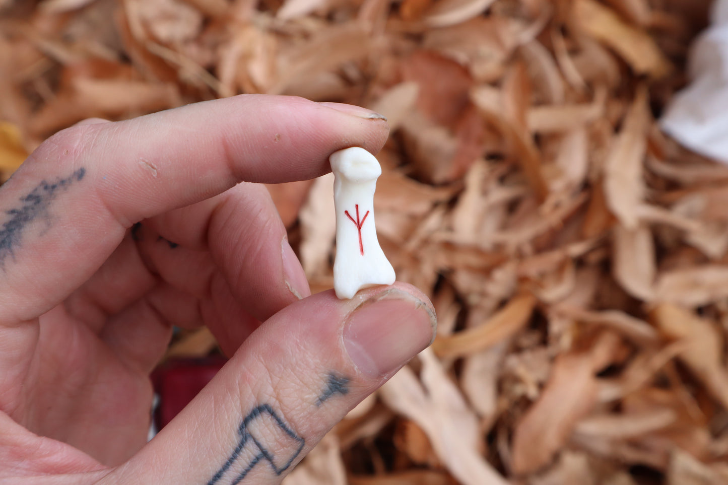 Mountain Lion Bone Divination Set - Burgundy and Jet Black