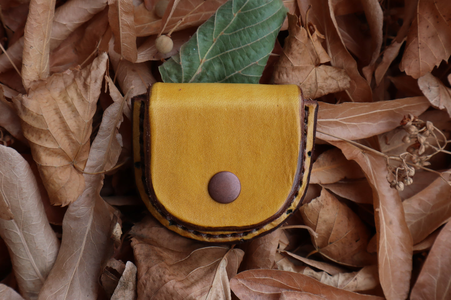 Mountain Lion Bone Divination Set - Sunshine Yellow and Bison Brown